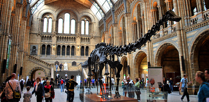 lucruri pe care le poti face gratuit in Londra