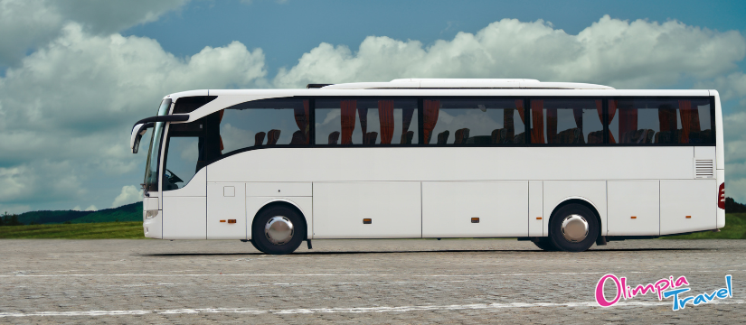 transport international